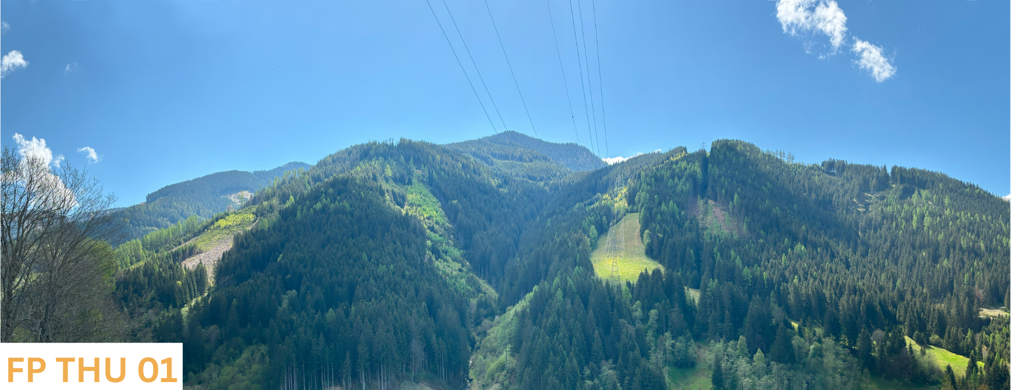 Blickwinkel Thumersbach davor