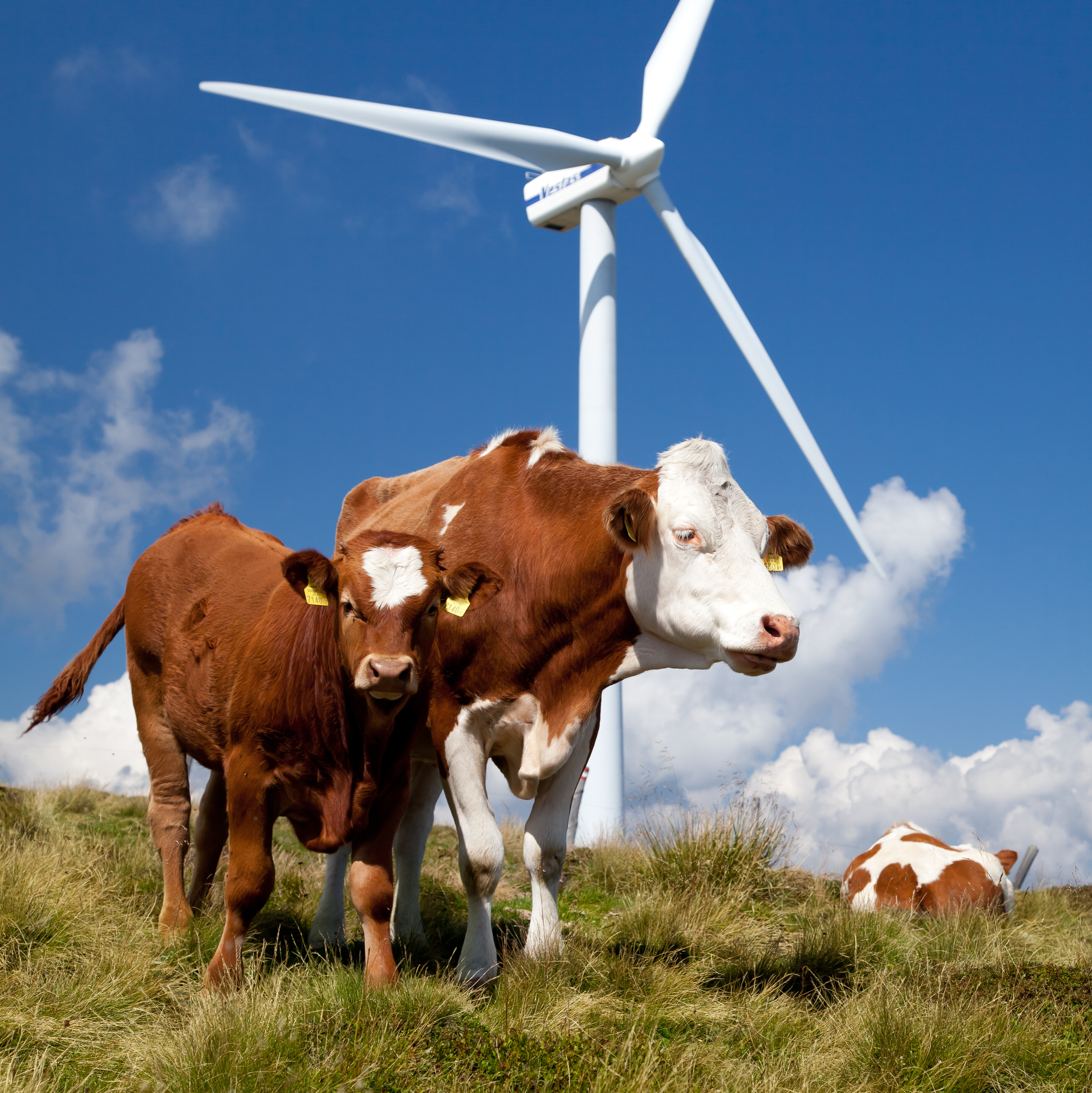 © Klaus Rockenbauer